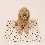 Durable Leak-Free Potty Pads – Puppy Training & Odor Control