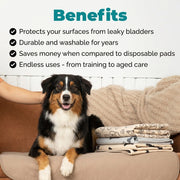 Durable Leak-Free Potty Pads – Puppy Training & Odor Control