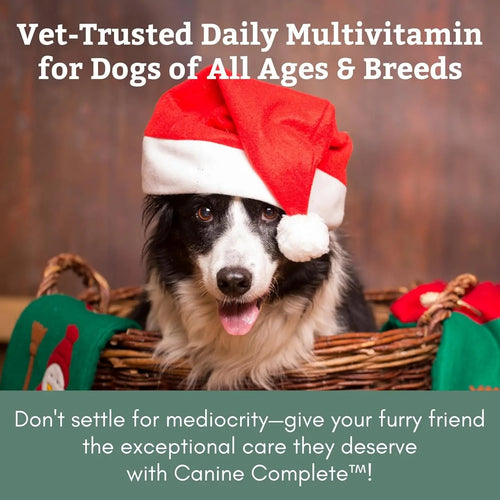 Canine Complete Dog Multivitamin Powder – Wholistic Pet Organics