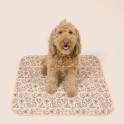 Durable Leak-Free Potty Pads – Puppy Training & Odor Control