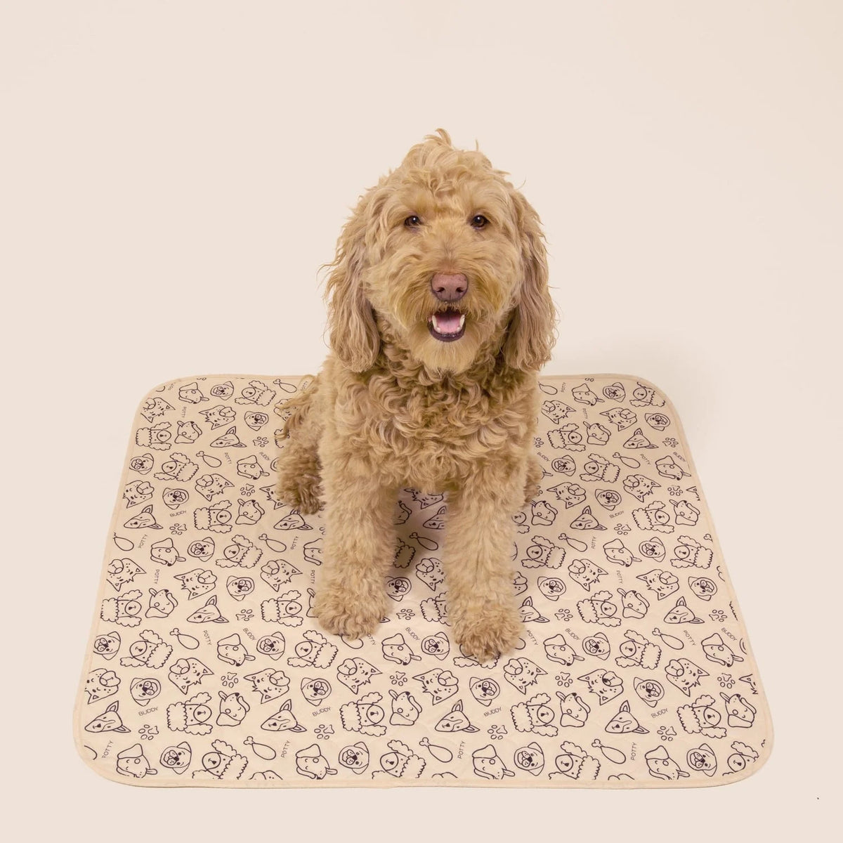 Durable Leak-Free Potty Pads – Puppy Training & Odor Control