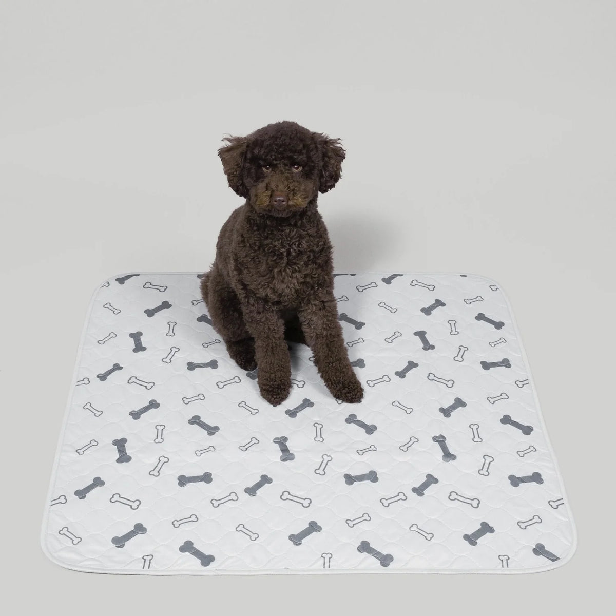 Durable Leak-Free Potty Pads – Puppy Training & Odor Control