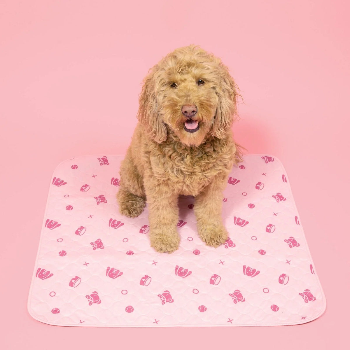 Durable Leak-Free Potty Pads – Puppy Training & Odor Control